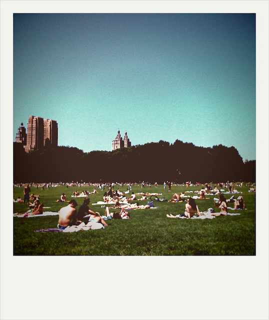 cherry hill central park nyc. Lawn in Central Park,